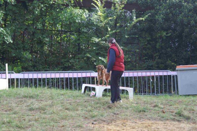 foire-haricots 2011-09-17et18